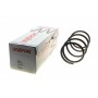 Пружина (передня) Mitsubishi Grandis 2.0DI-D 05-10 (вен)