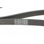 Ремінь генератора Renault Megane/Scenic 1.4 09-/Honda Accord/CR-V 2.2 i-CTDi 04-
