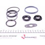 Комплект прокладок (верхній) Ford Transit 2.2 TDCi 06-14
