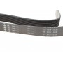 Ремінь генератора BMW 3 (E90)/Opel Movano 2.0i/2.5DTI 03-
