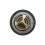 Термостат Renault Koleos/Laguna III/Megane III 2.0 16V 07-