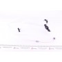 Трубка паливна Renault Kangoo 1.9 dCi 97-07 (паливний фільтр - ПНВТ) + груша підкачки