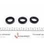 Прокладка кришки клапанів Toyota Land Cruiser/Lexus GS/RX 3.5/4.0 05- (к-кт)
