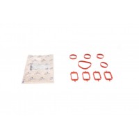Комплект прокладок колектора впускного BMW 3 (E46) 318/320 d 00-07