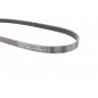 Ремінь генератора BMW 3 (E36)/5 (E34/E39) 2.0/2.5i 90-00/Ford Focus 2.5 05-12/Volvo C30/C70 04-13