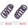 Комплект пружин (передніх) (Pro-Kit) BMW X5 (F15/F85) M 13- (2 шт.)