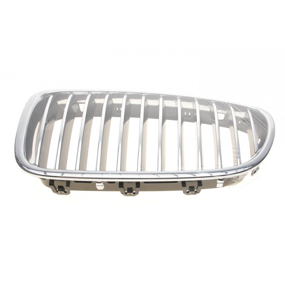 Решітка радіатора BMW 5 (F10) 13-16 (L)