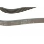Ремінь генератора Opel Astra 1.7CDTI 04-10/ Subaru Outback 3.0-3.6 05-/ VW Passat 3.2 05- (6PK1623)