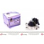 Подушка двигуна (R) Renault Megane I/Scenic I 1.9dTi/dCi 97-03