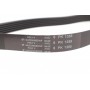 Ремінь генератора Citroen Berlingo/Jumpy/Peugeot Expert/Partner 1.6HDI (6PK1355)