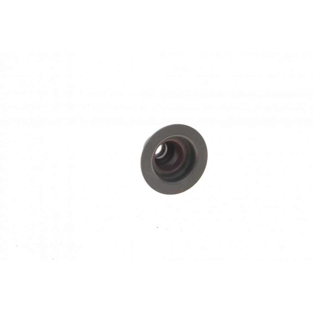Сальник клапана (впуск/випуск) Renault Kangoo/Clio 1.1/1.2 96- (к-кт), D7F/D7D