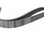 Ремінь генератора Renault Master 3.0dCi/Opel Movano 3.0dTi 03-/Toyota Rav4 2.0 06-13 (7PK1920)