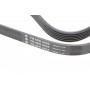 Ремінь генератора MB E-class (W210) 4.2/5.0/Audi A8 3.0D 10-18 (6PK2433)