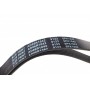 Ремінь генератора Ford Focus 1.4i 98-01/ Honda Accord/ Prelude 2.2 96-02