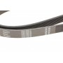 Ремінь генератора Hyundai Santa Fe/Kia Magentis 2.7 V6 05-/Lexus RC/GS 5.0 14-/MB (W202/W210) 93-02