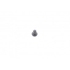 Болт (M6X10mm) VW