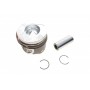 Поршень Renault Clio 1.5DCI 05- (76.50mm/+0.5) (71-3845-50)(Палець 25mm) = 7138455000