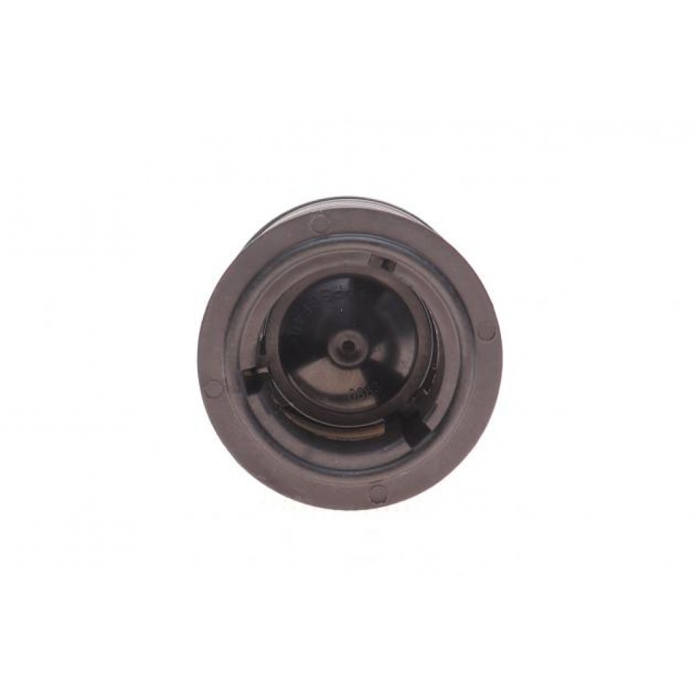 Термостат BMW 1 (F20)/4 (F36)/5 (F10) 1.6-3.0D 04-