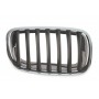Решітка радіатора BMW X5 (E70)/X6 (E71) 06-14 (R)