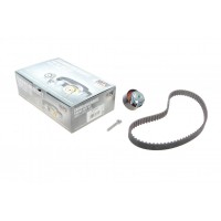 Комплект ГРМ Citroen C5 III/C6/Peugeot 407/607 2.7 HDi 04-