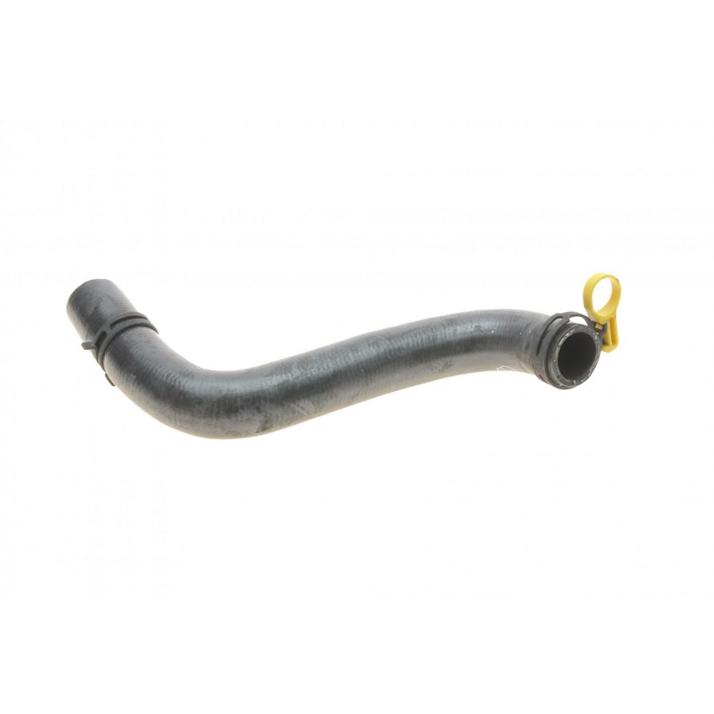 Патрубок радіатора (нижній) Ford Fiesta 1.25-1.6 16V 01-08 (R)