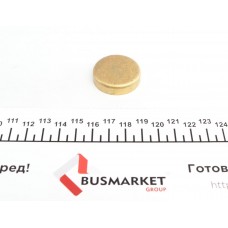 Заглушка блоку циліндрів (d=32,6mm) Латунь/Brass
