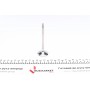 Клапан (випуск) VW Caddy III 1.6 04-15 (32.9x6x93.85) (вальцювання)