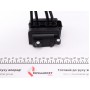 Котушка запалювання Renault Kangoo 1.2 16V 01- (к-кт) (+ проводи запалювання)