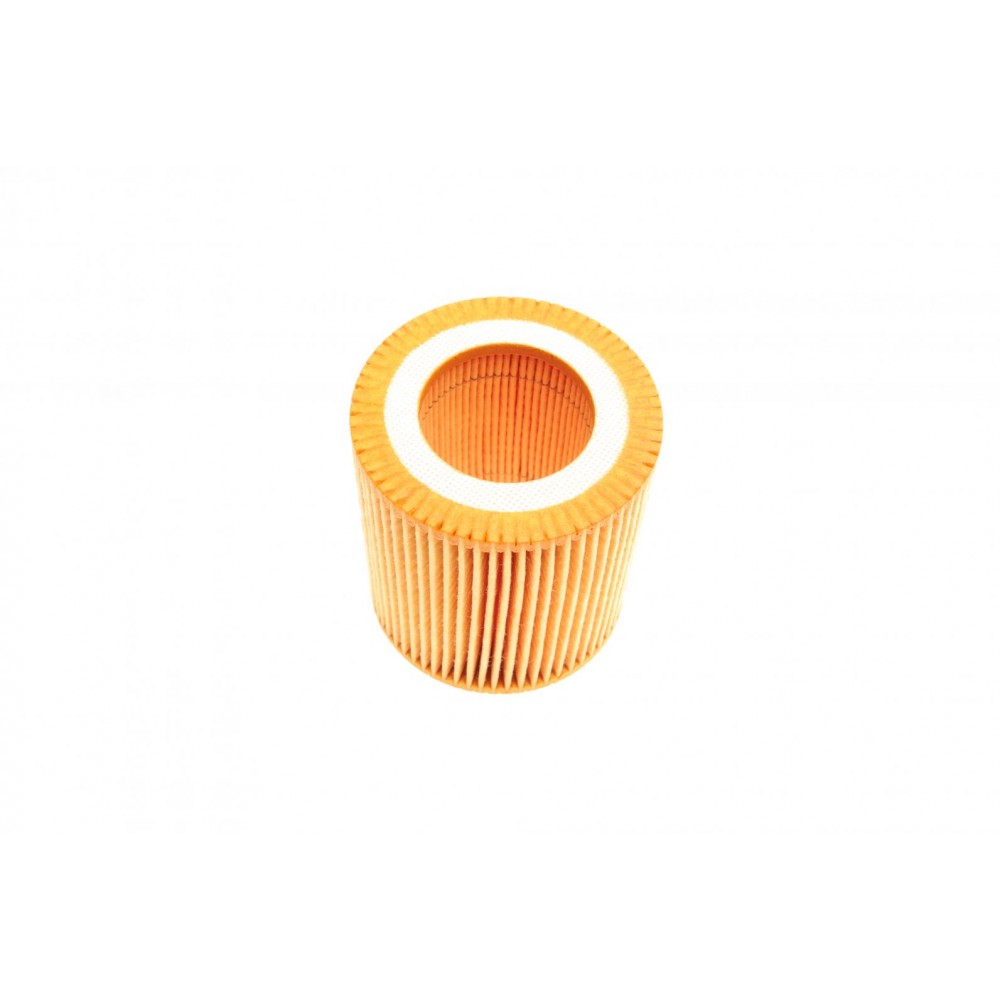 Фільтр масляний BMW (E90/F30)/5 (E60/F10) 05-16 (N52/N53/N20/N55)