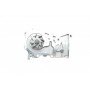 Комплект ГРМ + помпа Renault Clio III/Laguna III/Megane III/ Scenic III 1.6 16V 05- (27.4x132z)