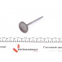 Клапан (впуск) Hyundai Elantra/Lantra/Sonata 1.6/2.0 16V/2.4 97-04 (34х6.5х109.5) (азотування)