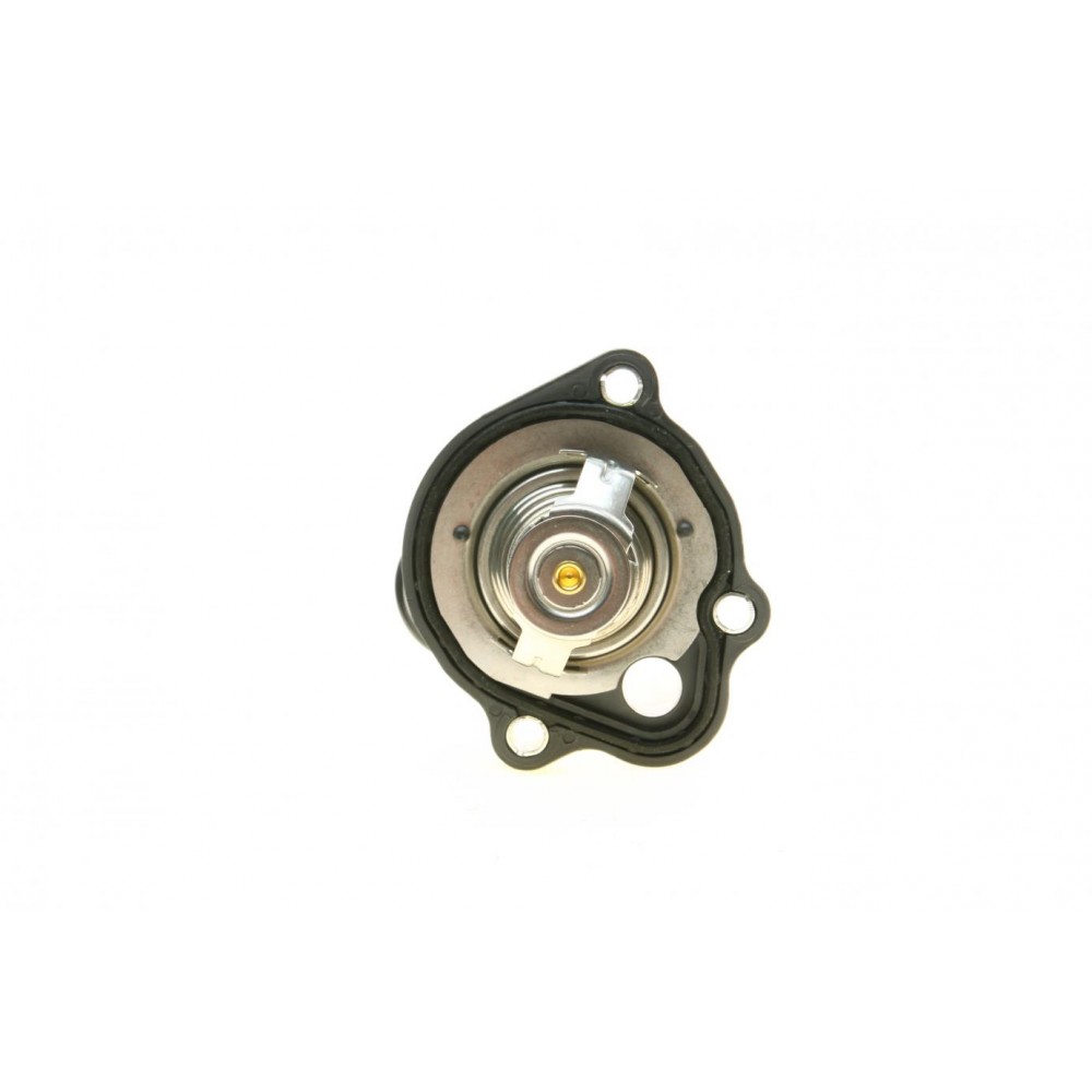 Термостат Ford Transit 2.3 16V 06-14 (TE0156)