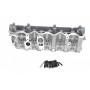 Головка блоку циліндрів VW Crafter 2.5TDI 06-13