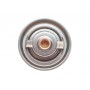 Термостат Ford Transit 2.5 DI/ Renaul Trafic 2.1 D -97