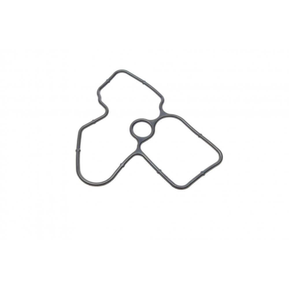 Прокладка помпи води Nissan X-Trail/Renault Megane/Scenic 2.0 dCi 07-