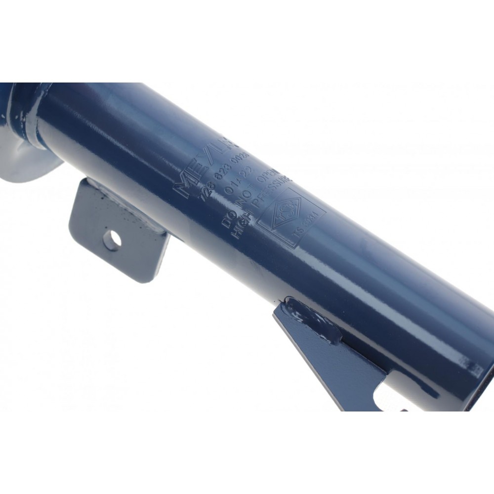 Амортизатор (передній) Ford Connect 02-13 (висока база) (L)