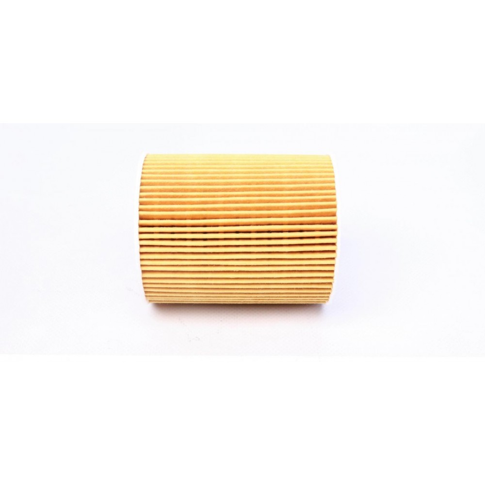 Фільтр масляний Citroen C5/Peugeot 407 3.0HDI 09-/Land Rover Discovery/Range Rover Sport 3.0TD 09-