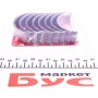 Вкладиші шатунні Fiat Scudo/Peugeot Expert 1.9D/TD 96-06 (+0.3) (знято з виробництва)