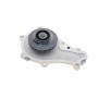 Помпа води Citroen C1/C2/C3/Nemo/Ford Fiesta/Peugeot 206/307 1.4HDI/TDCI 02- (21z) (B/B) (20 лоп.)