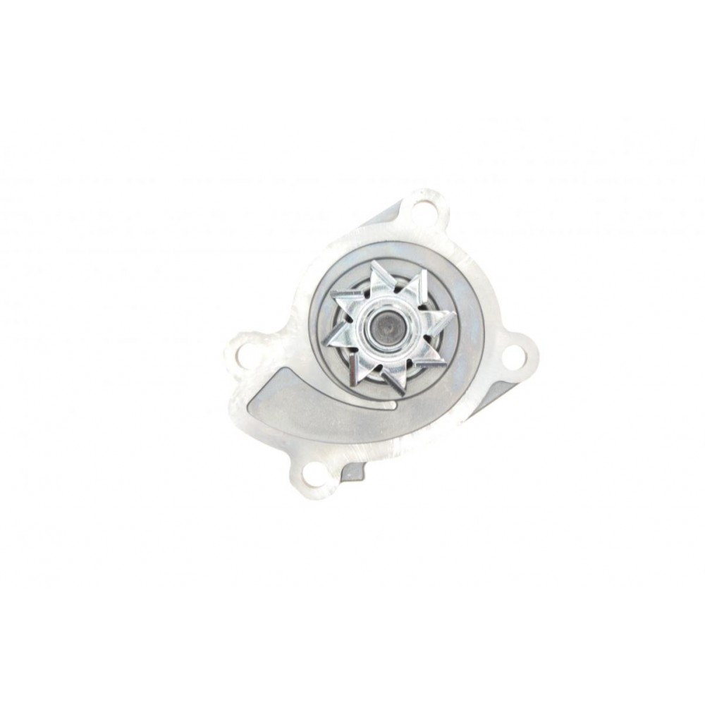 Помпа води Renault Clio/Scenic/Megane/Kangoo/Nissan Qashqai/Juke 0.9-1.2-1.4TCe/1.6 09-
