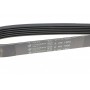 Ремінь генератора Ford Transit Connect 1.0 EcoBoost 13-