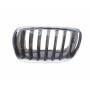 Решітка радіатора BMW X5 (E70)/X6 (E71) 06-14 (L)