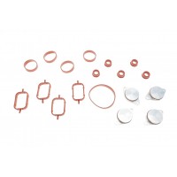 Ремкомплект колектора впускного BMW 3 (E46/E90)/5 (E39/E60) 2.0d (N47/M47) 98-11