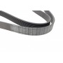 Ремінь генератора MB Axor 2 (OM926) 04- (8PK1635)
