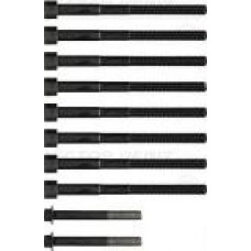 Болти головки (к-кт 10шт.) Toyota Rav4 3.5 4WD 05-12/Land Cruiser 4.0 02-