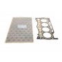 Прокладка ГБЦ VW Caddy IV 1.4 TSI 15- (1.02mm)