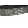 Ремінь генератора Renault Master/Opel Movano 3.0 DCI 03- (7PK1920)