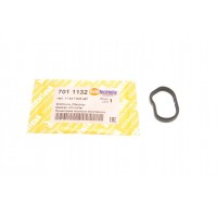 Прокладка корпуса фільтра масляного BMW 1 (F20/F21)/3 (F30/F80) 10-16 N13
