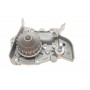 Помпа води Renault Kangoo/Megane/Clio 1.4/1.4i/1.4e 96- (B/B) (8 лоп)
