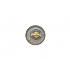 Термостат Ford Fusion/Fiesta/Focus 1.2-1.6 95-